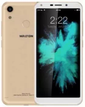 Walton Primo H7s Price Japan